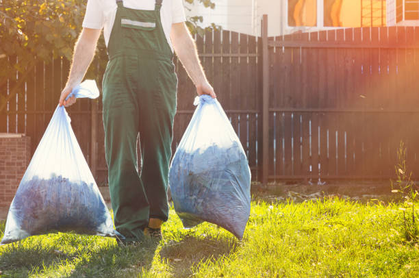 Best Recycling Services for Junk  in Jefferson, IA